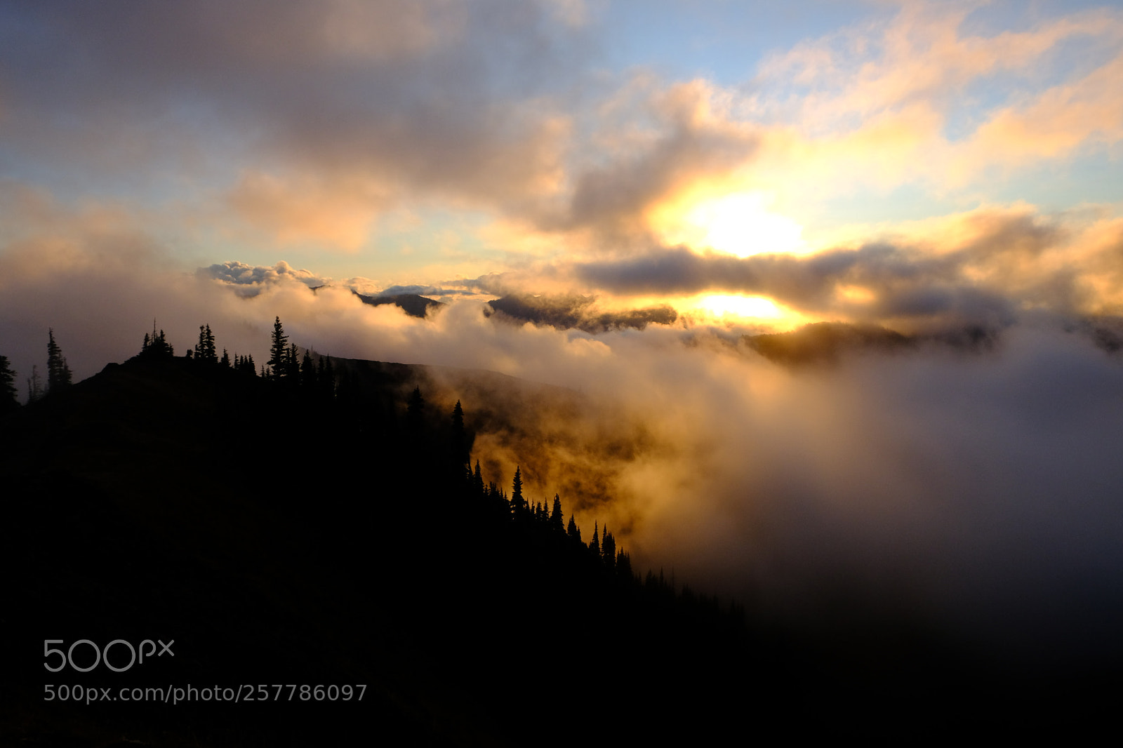 Fujifilm X-T20 sample photo. Hurricane ridge sunset fog 2 photography