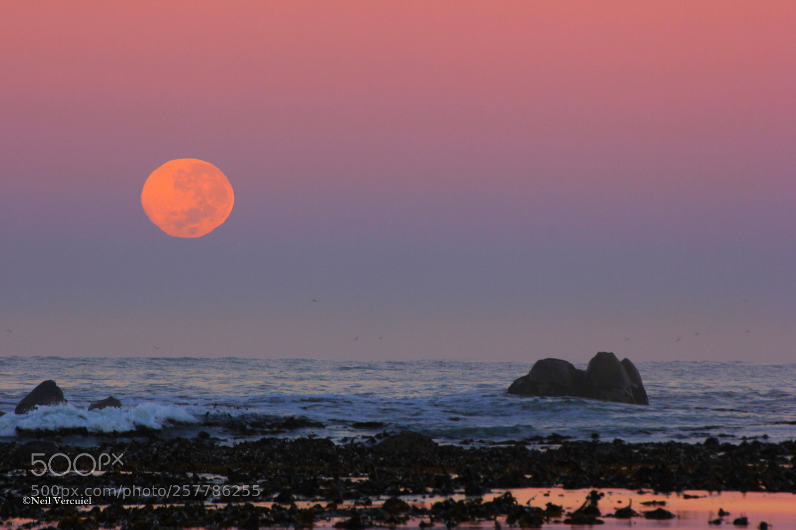 Canon EOS 550D (EOS Rebel T2i / EOS Kiss X4) sample photo. Moon watching over waves photography