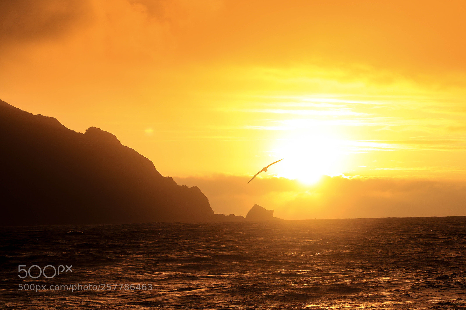 Canon EOS 7D Mark II sample photo. Sunsea breaksea sound photography