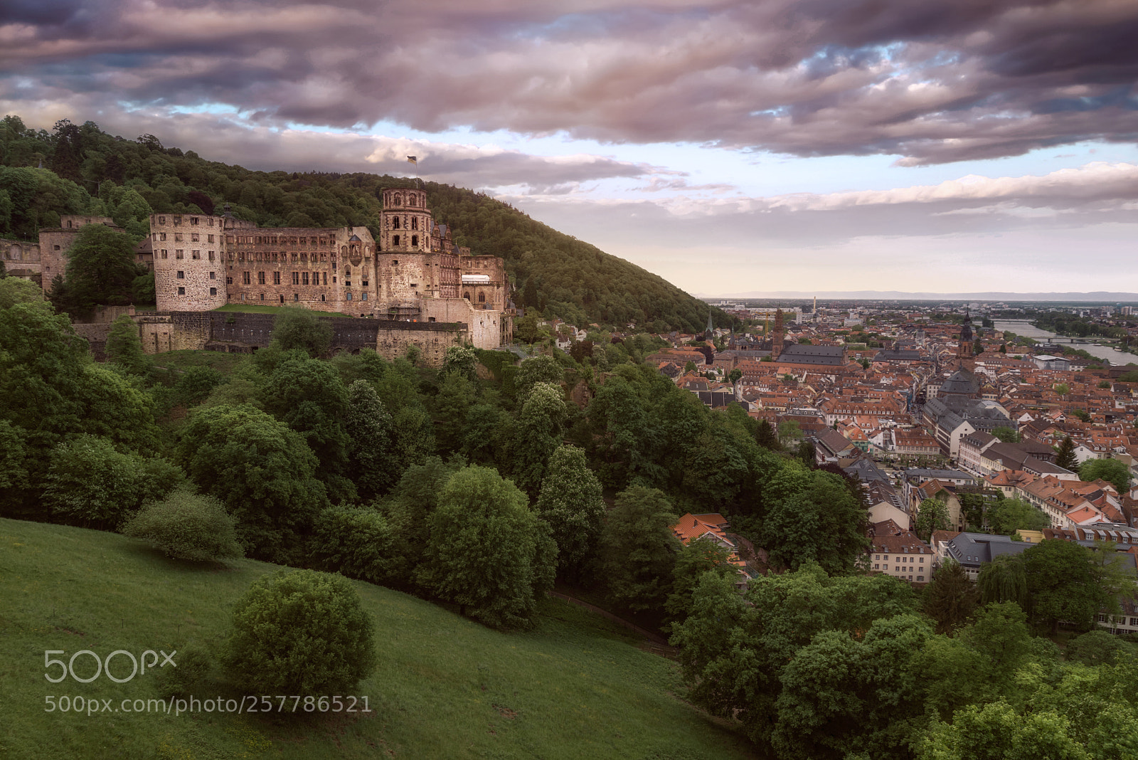 Nikon D750 sample photo. Heidelberg castle photography