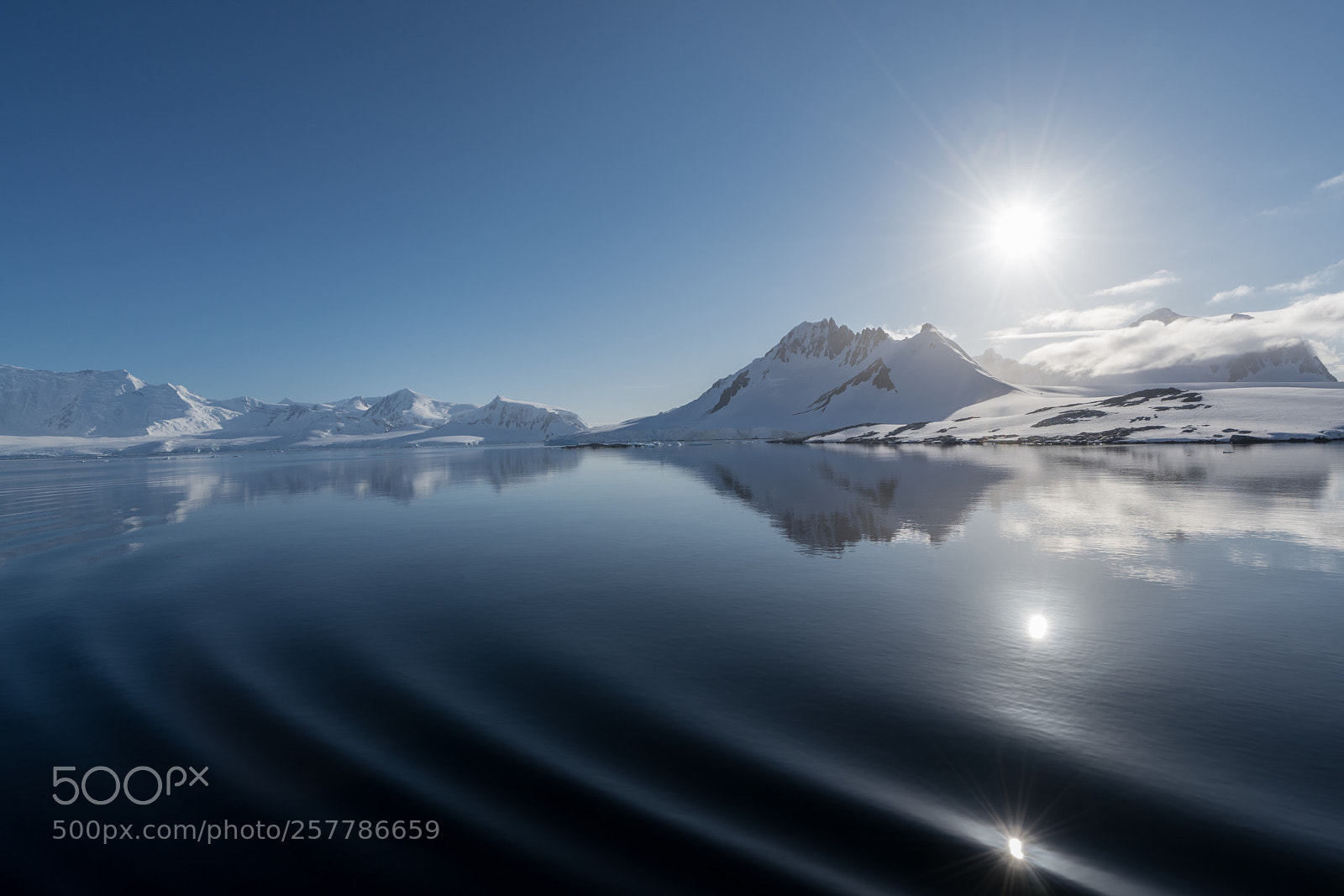 Sony a7R II sample photo. Port lockroy  photography