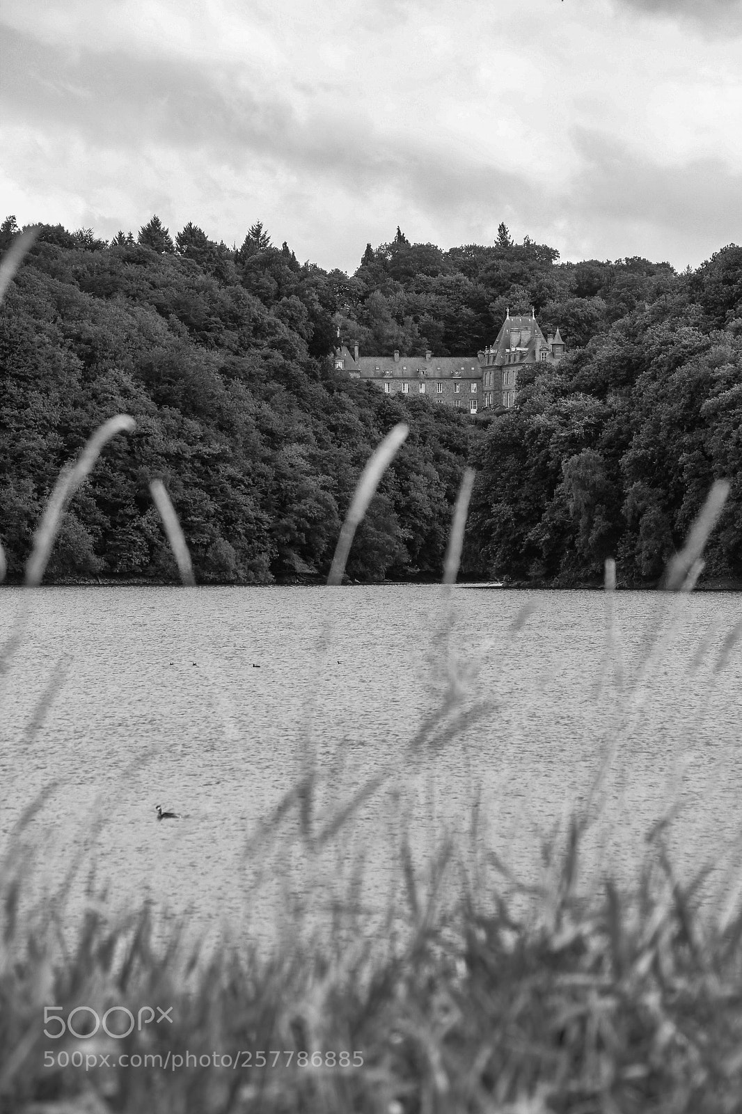 Canon EOS 600D (Rebel EOS T3i / EOS Kiss X5) sample photo. Beaufort monastery photography