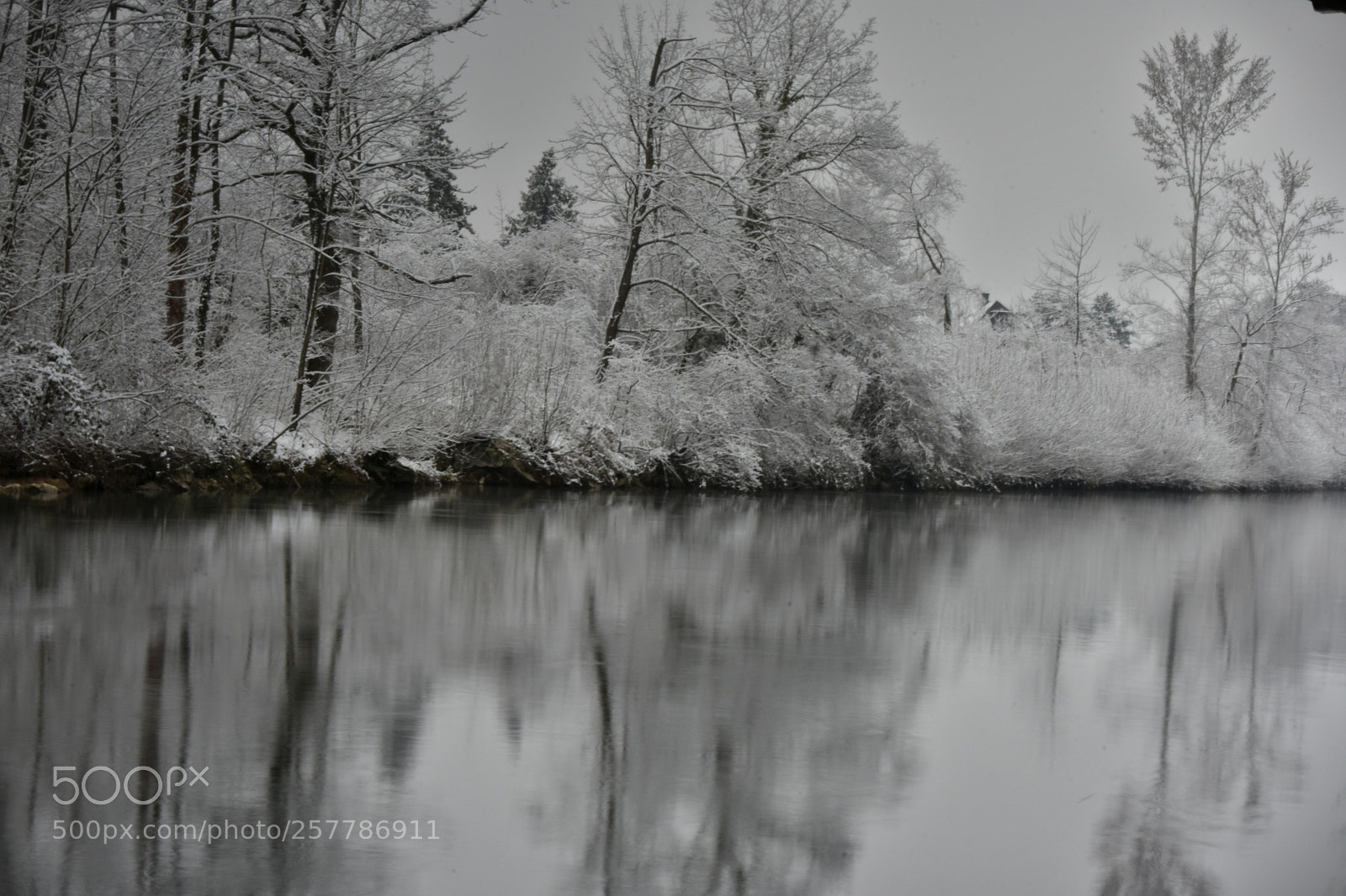 Nikon D7200 sample photo. Last winter photography