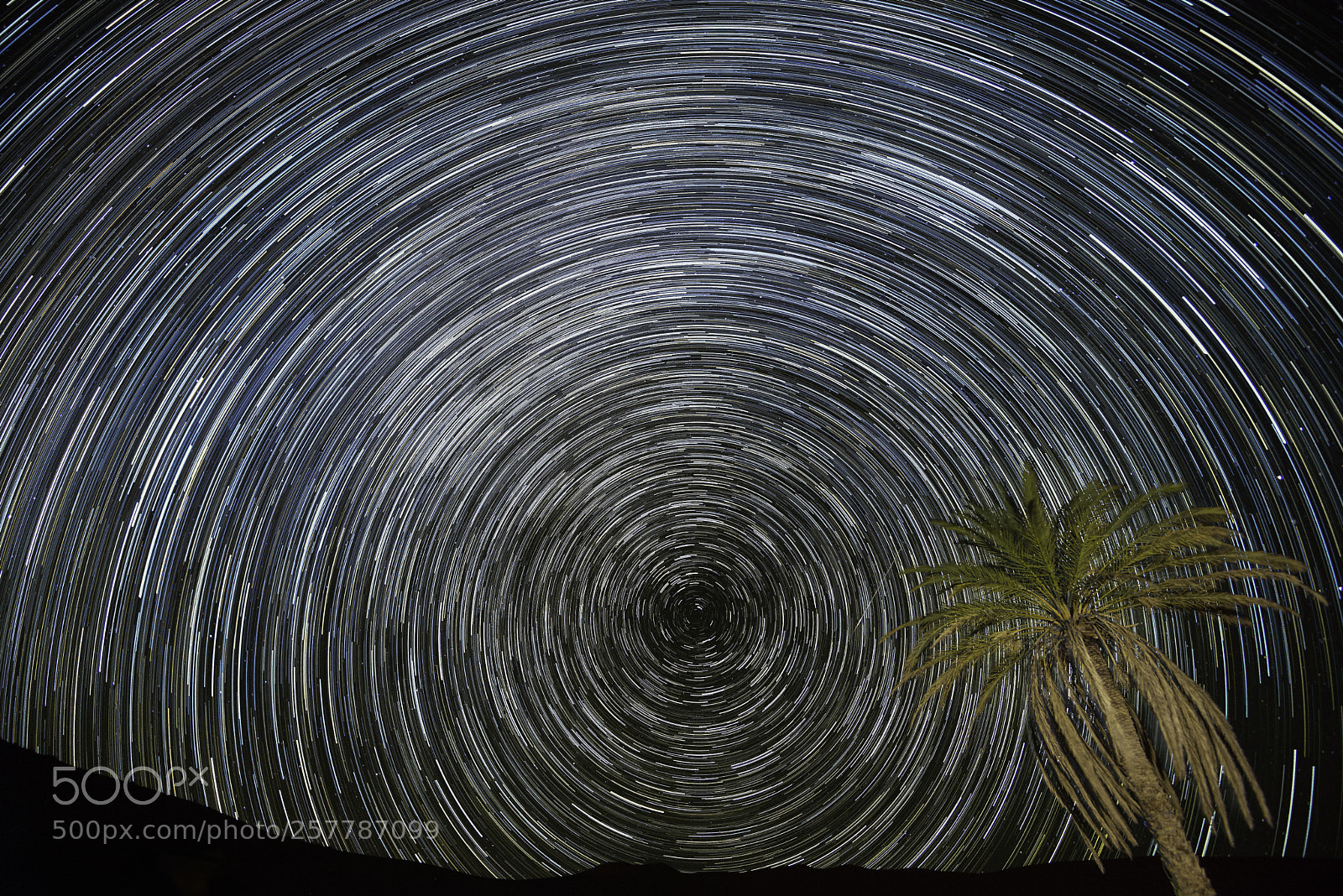 Nikon D600 sample photo. Night circle photography