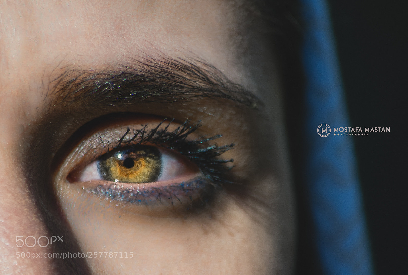 Nikon D3400 sample photo. Eye photography