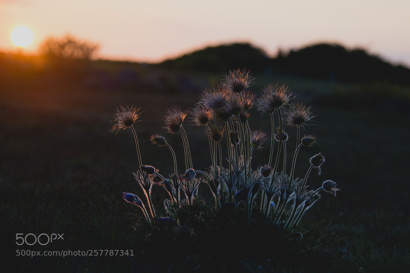 Nikon D610 sample photo. End of the day photography