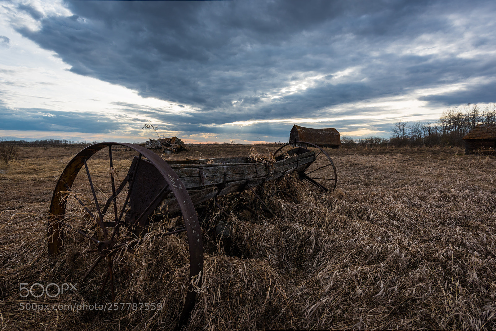 Nikon D810 sample photo. Dead grass, machine and photography