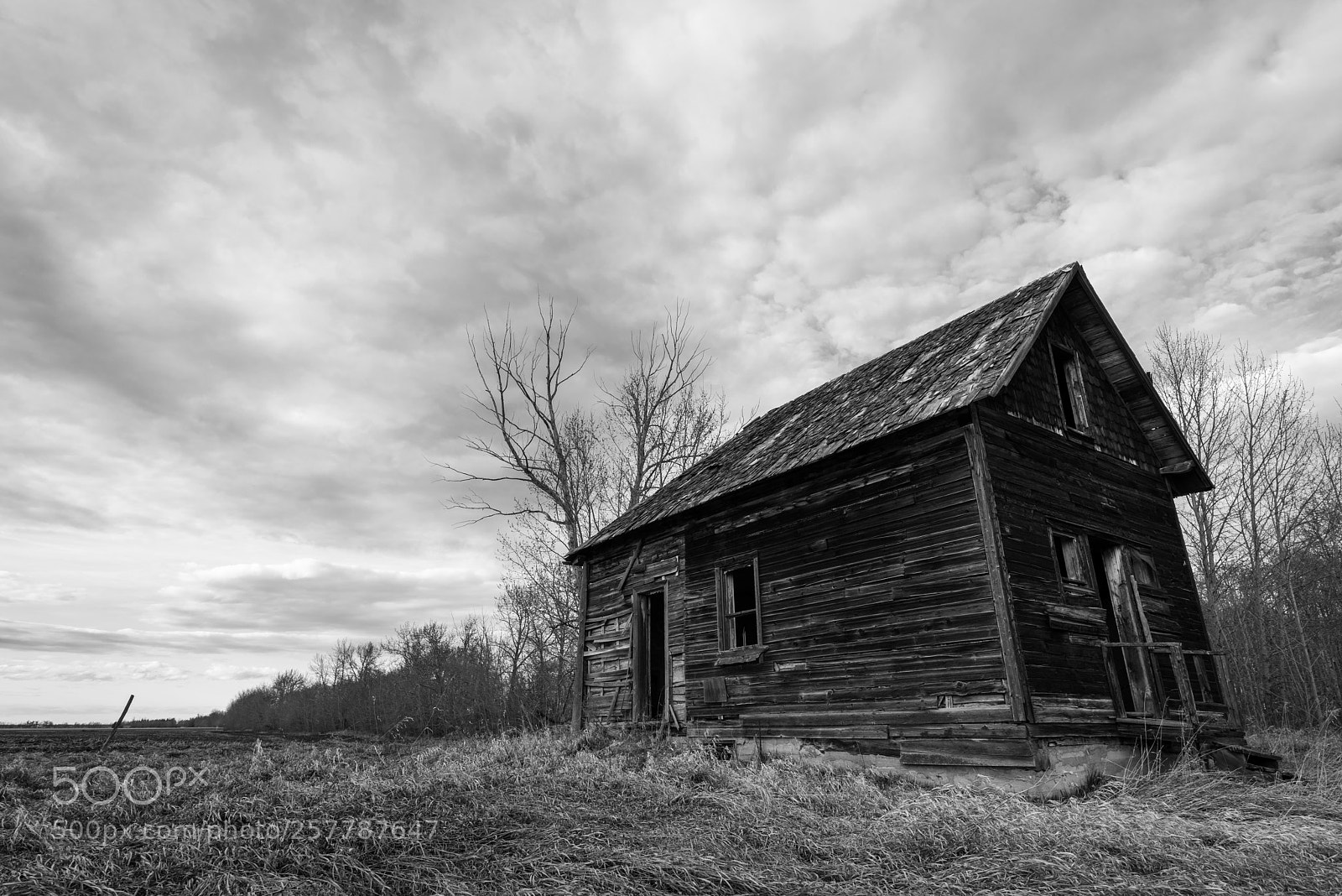 Nikon D810 sample photo. Weathered farmhouse and old photography