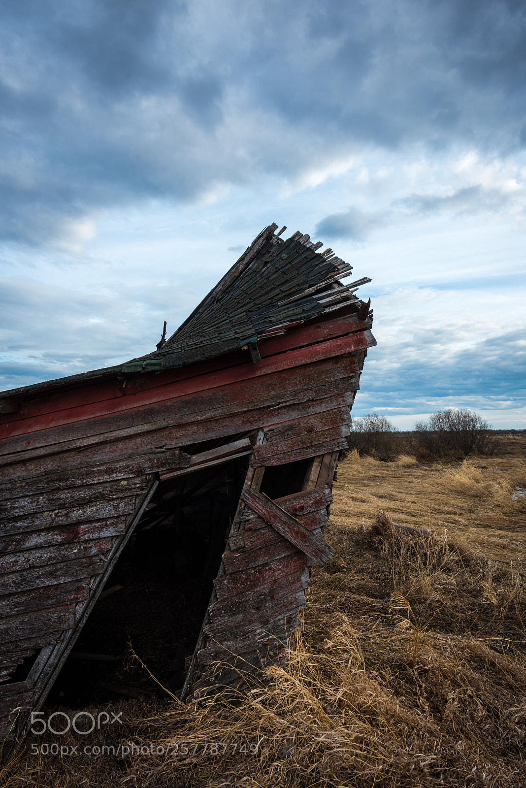 Nikon D810 sample photo. Collapse photography