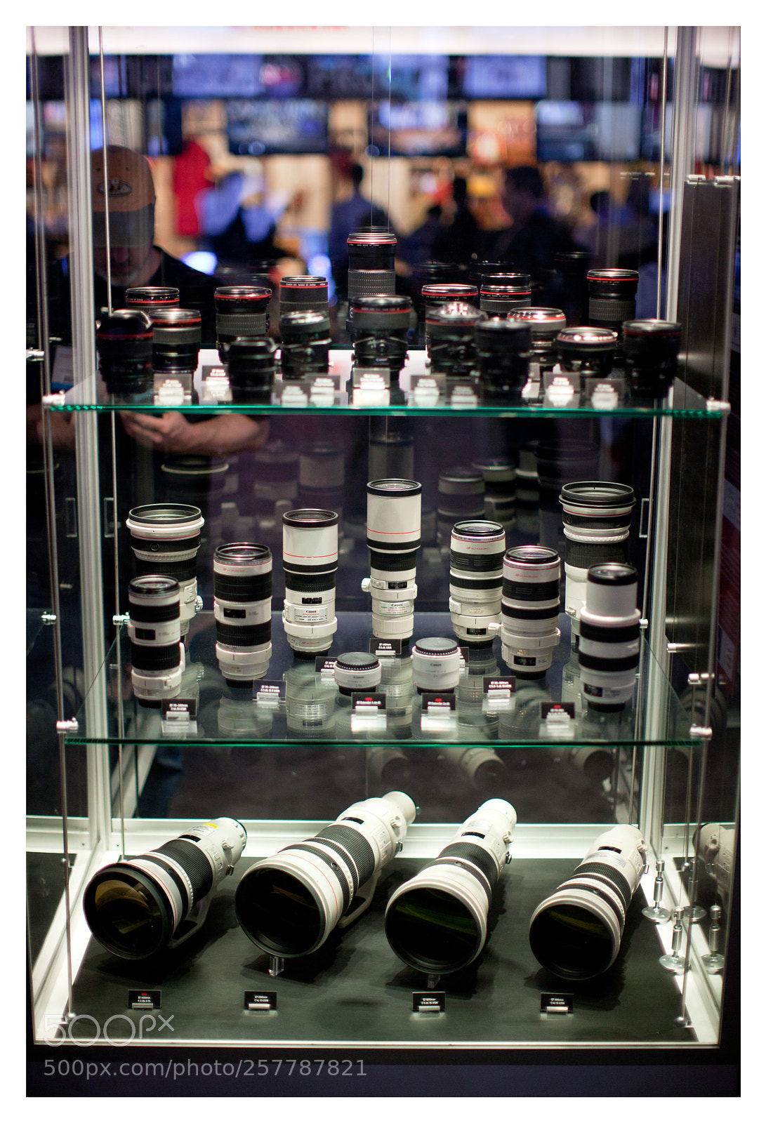 Canon EOS 5D Mark II sample photo. Lens porn photography