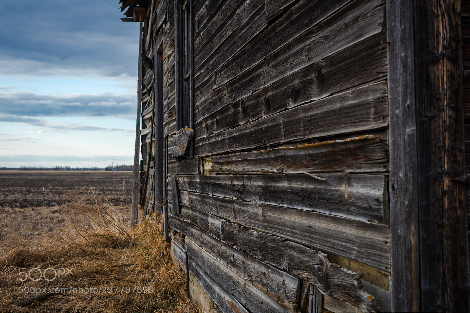 Nikon D810 sample photo. Weathered wall from many photography