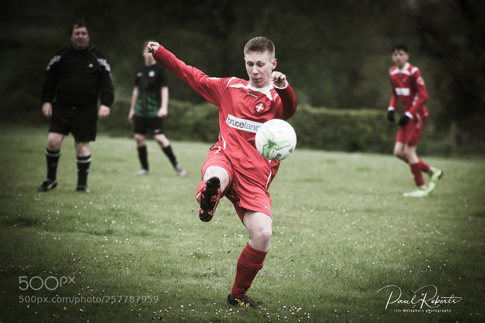 Nikon D750 sample photo. On the ball photography