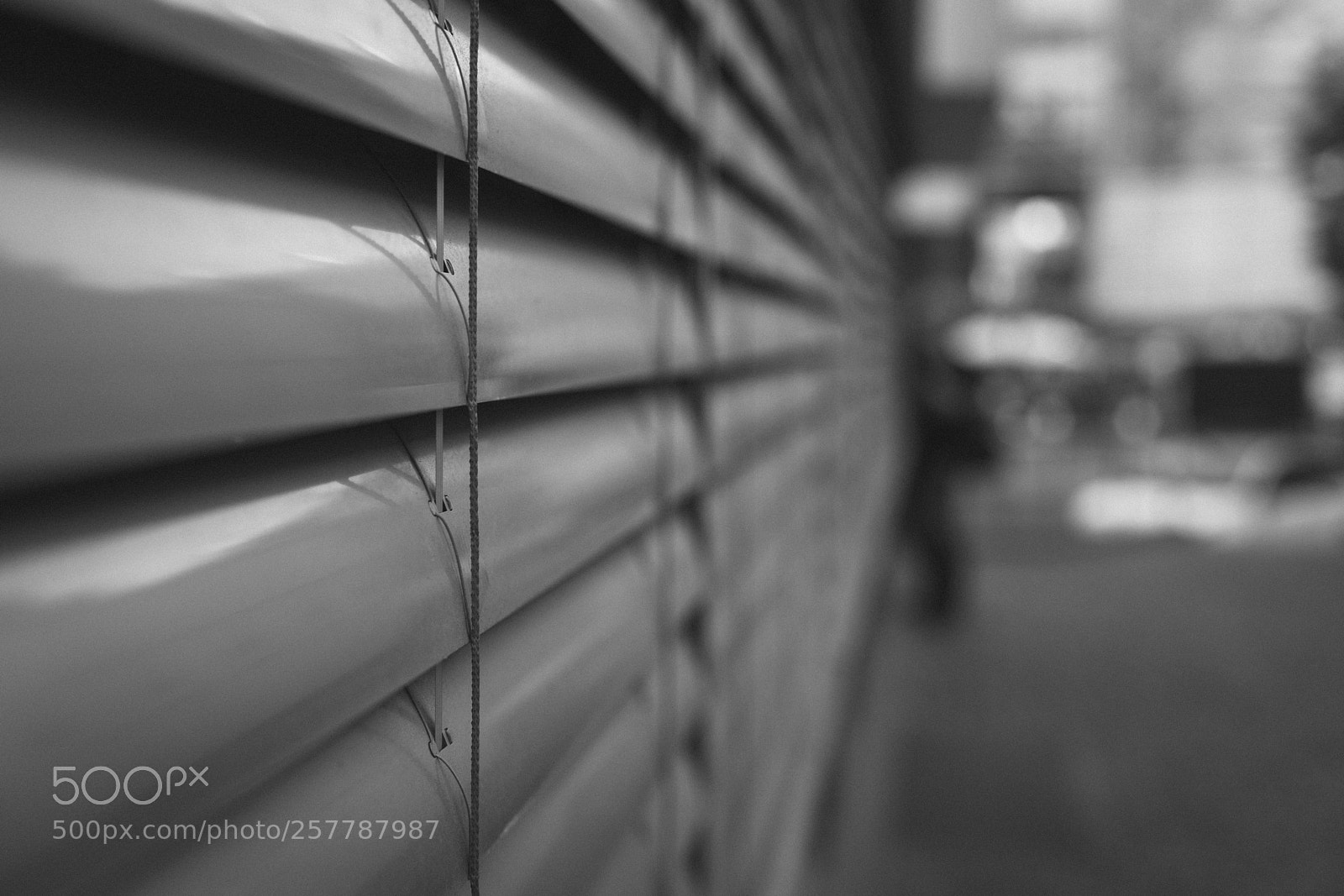 Canon EOS 6D Mark II sample photo. Jalousien photography