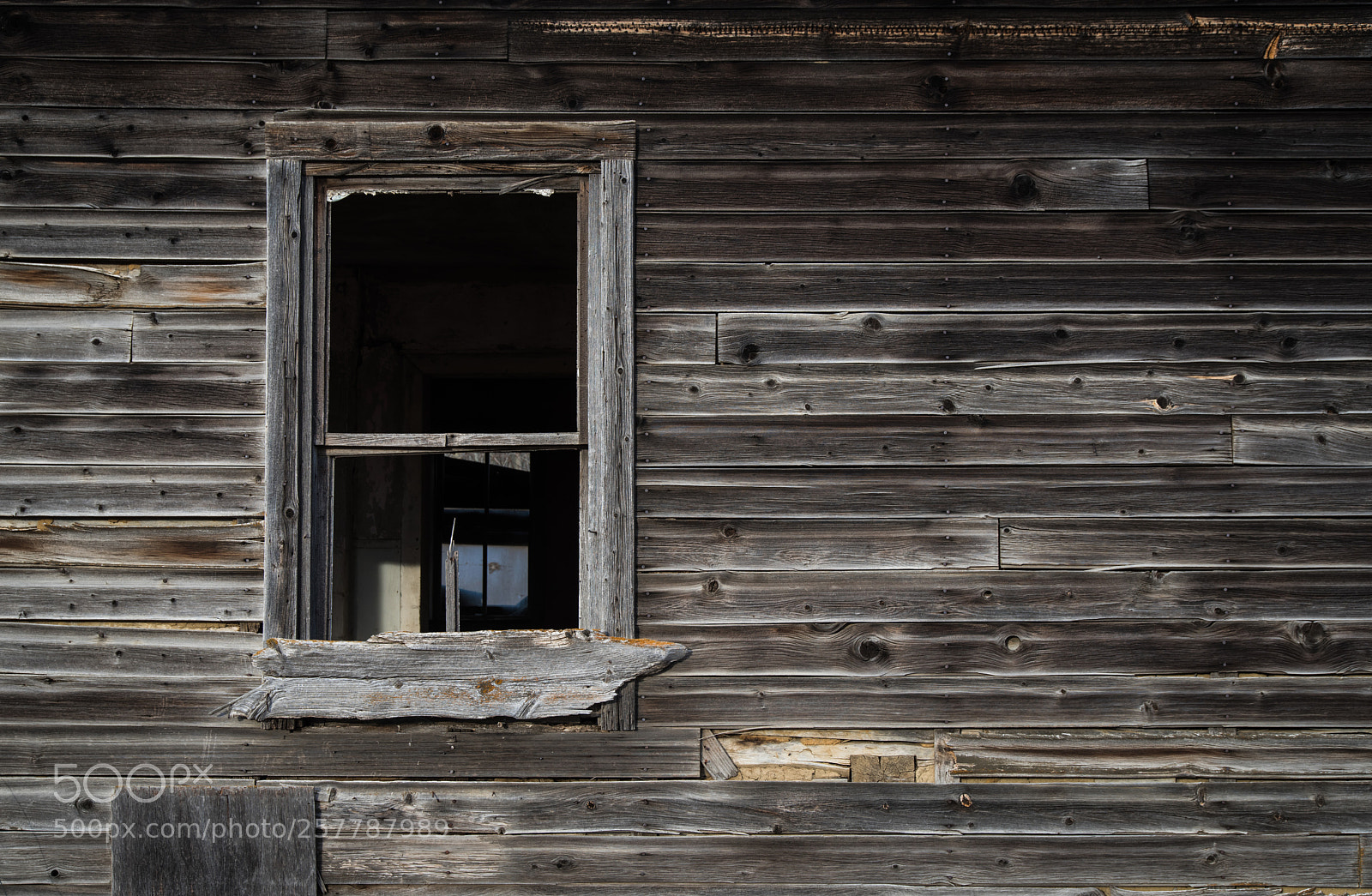 Nikon D810 sample photo. The window photography