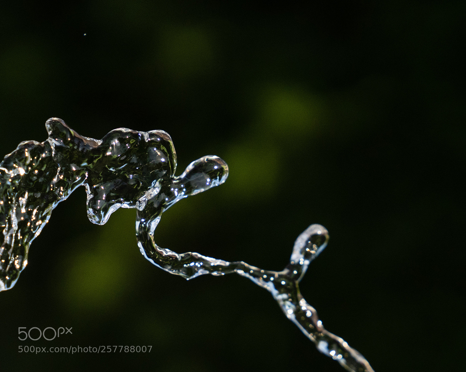 Sony a7 III sample photo. Water fountain slowed down photography