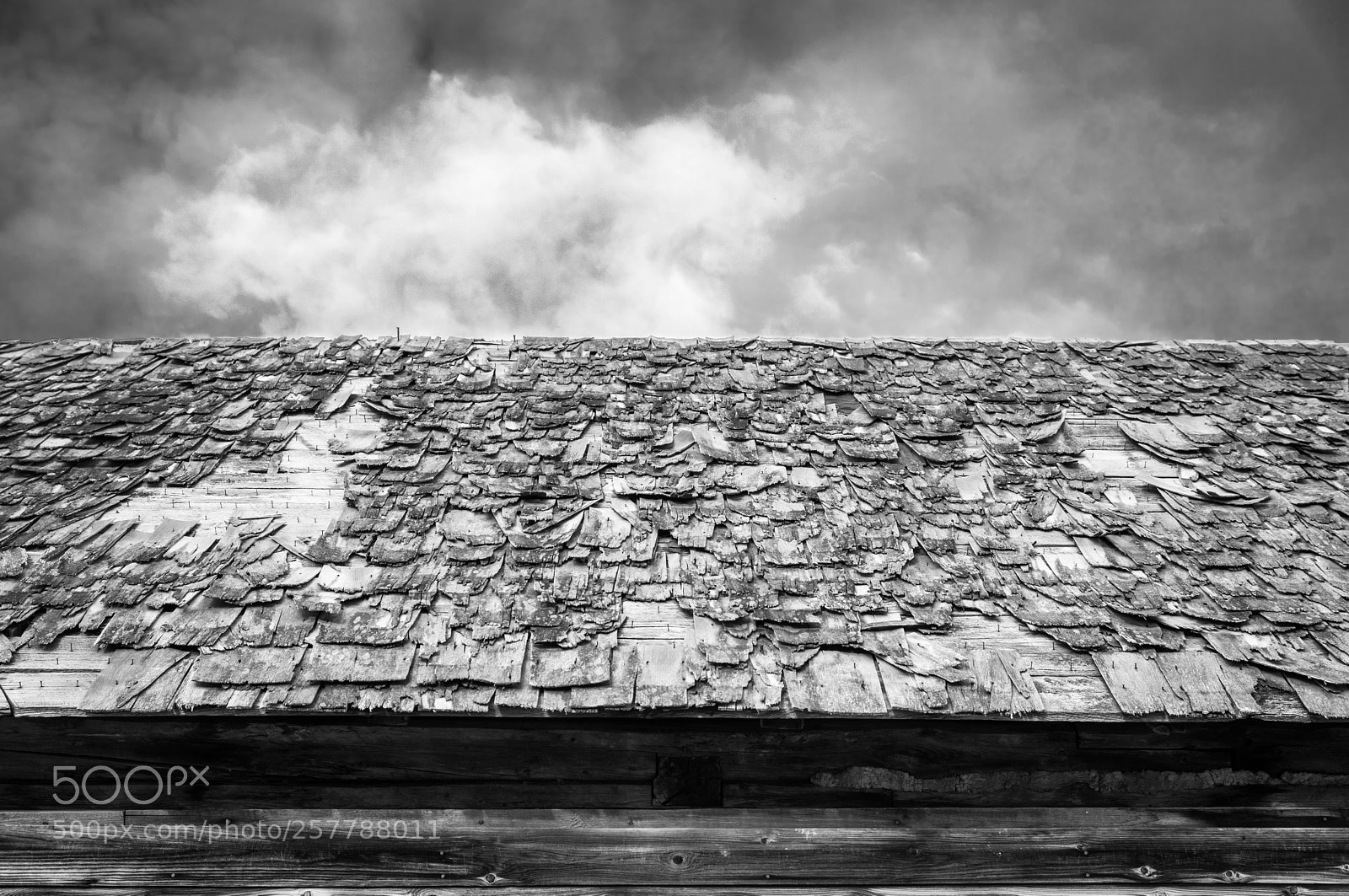 Nikon D810 sample photo. Abstract wooden shingles photography