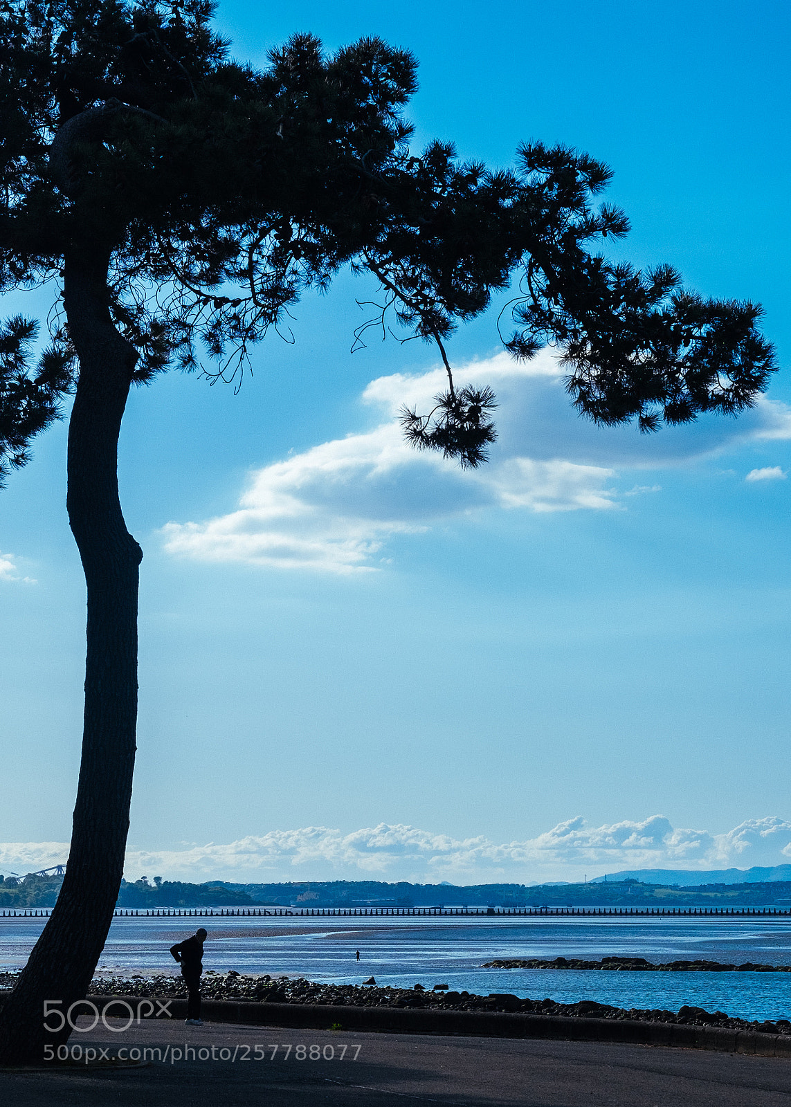 Fujifilm X-E2 sample photo. Sunny cramond photography