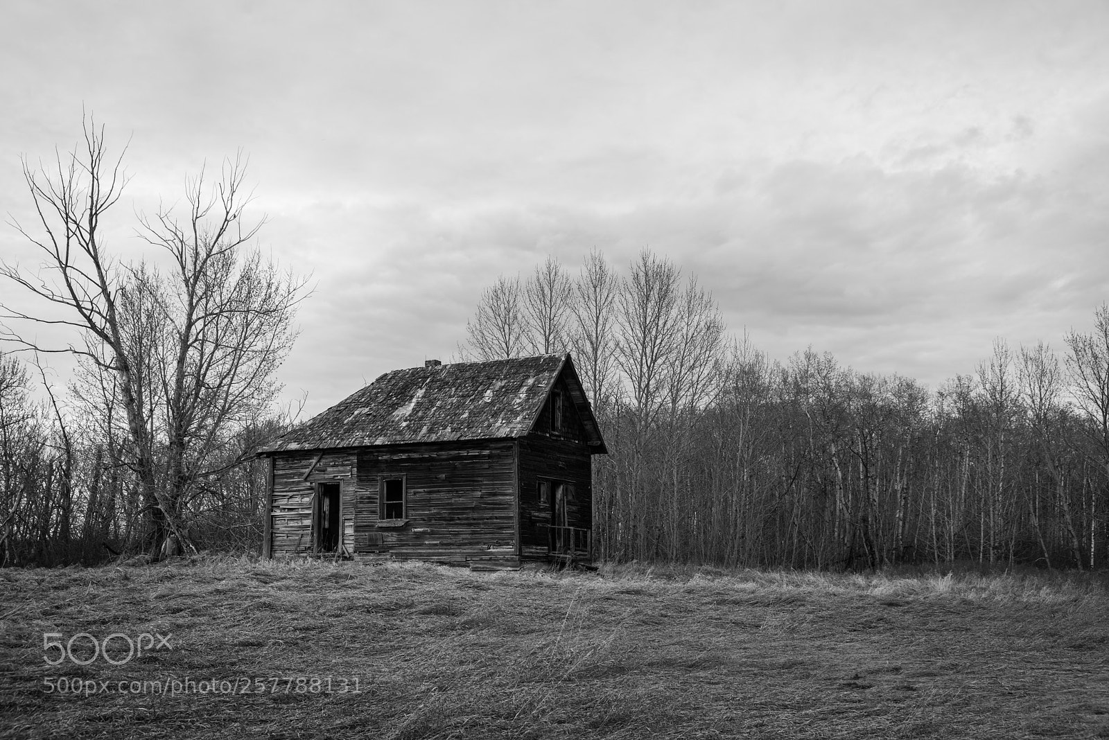 Nikon D810 sample photo. Old farmhouse and tree photography