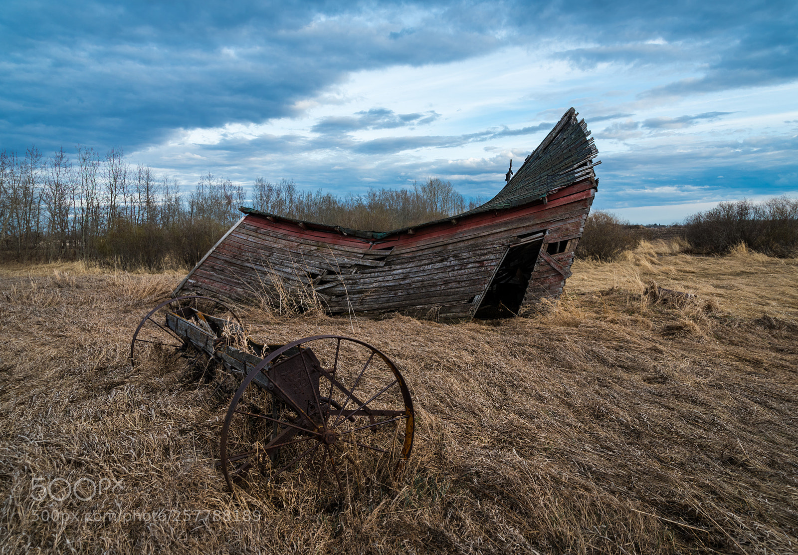 Nikon D810 sample photo. Windswept photography