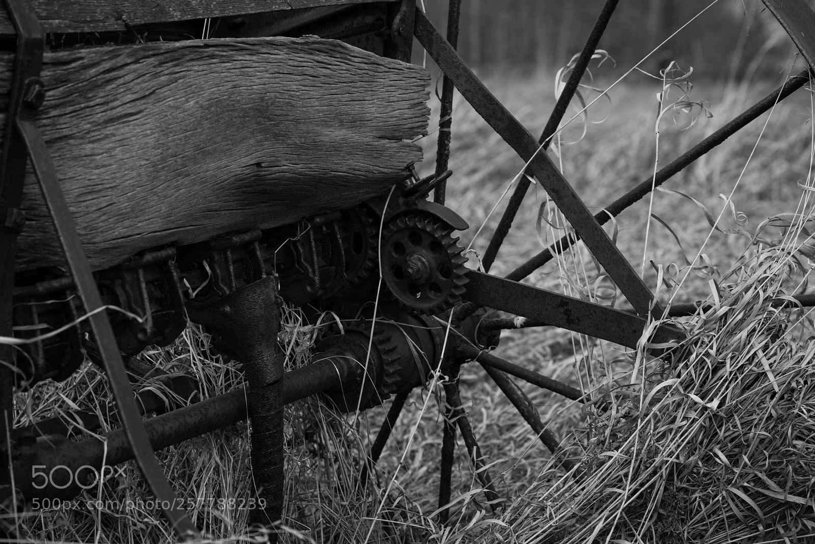 Nikon D810 sample photo. Gears photography