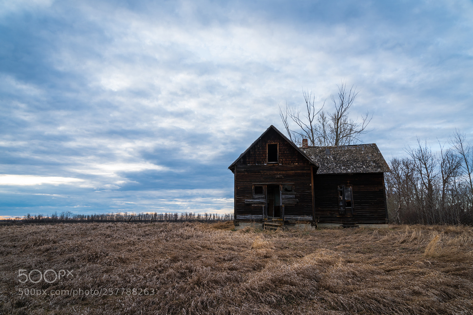 Nikon D810 sample photo. Lonley house photography