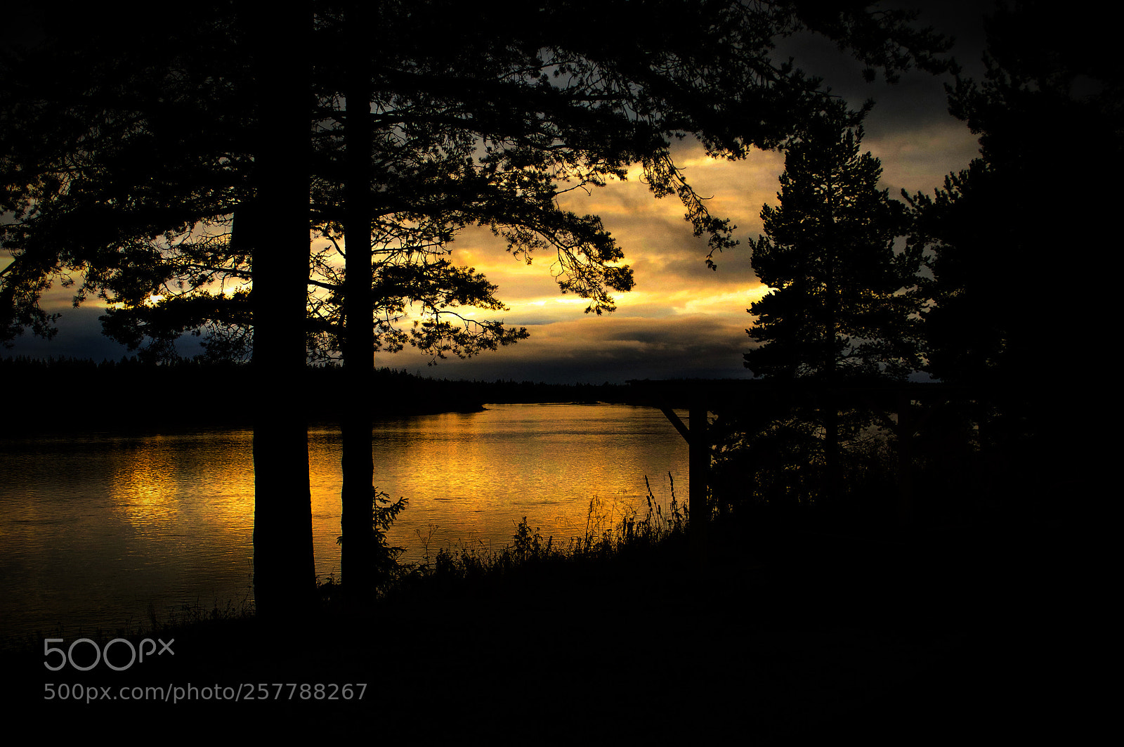 Nikon D90 sample photo. Even the darkness have photography