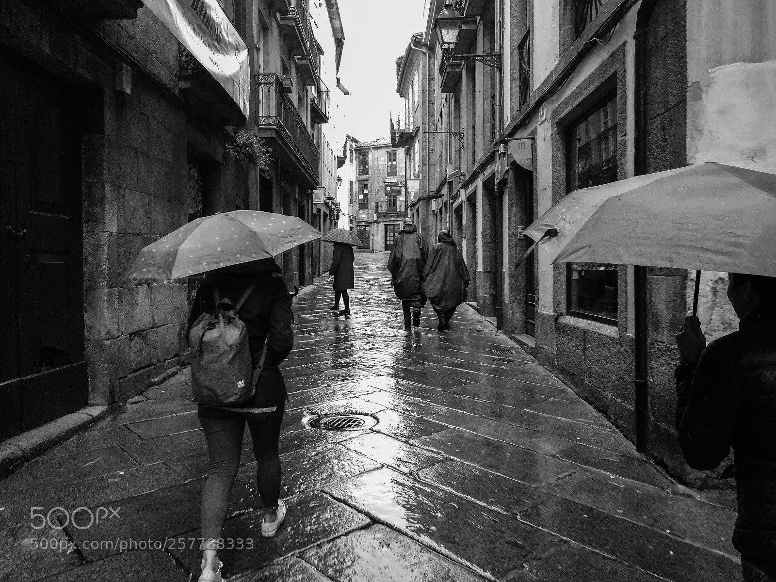 HUAWEI P10 sample photo. Rain and umbrella photography