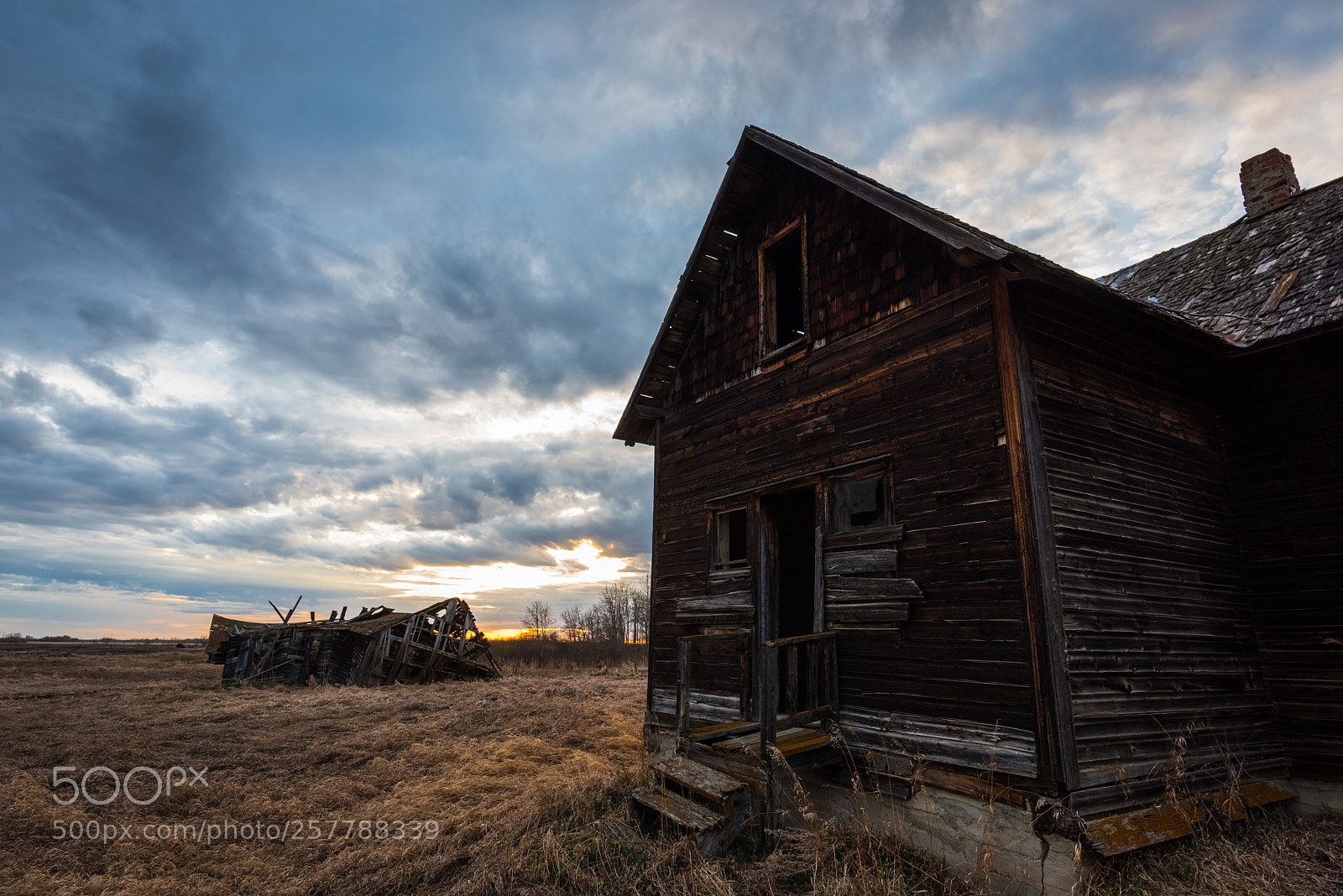 Nikon D810 sample photo. Sunset on a lonely photography