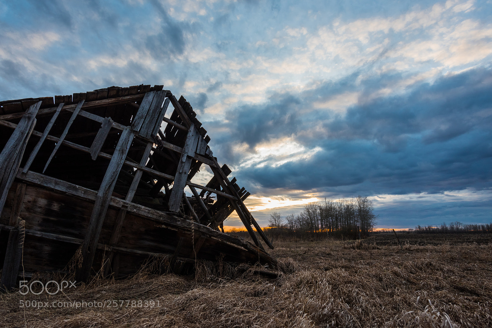 Nikon D810 sample photo. Skeleton of an old photography