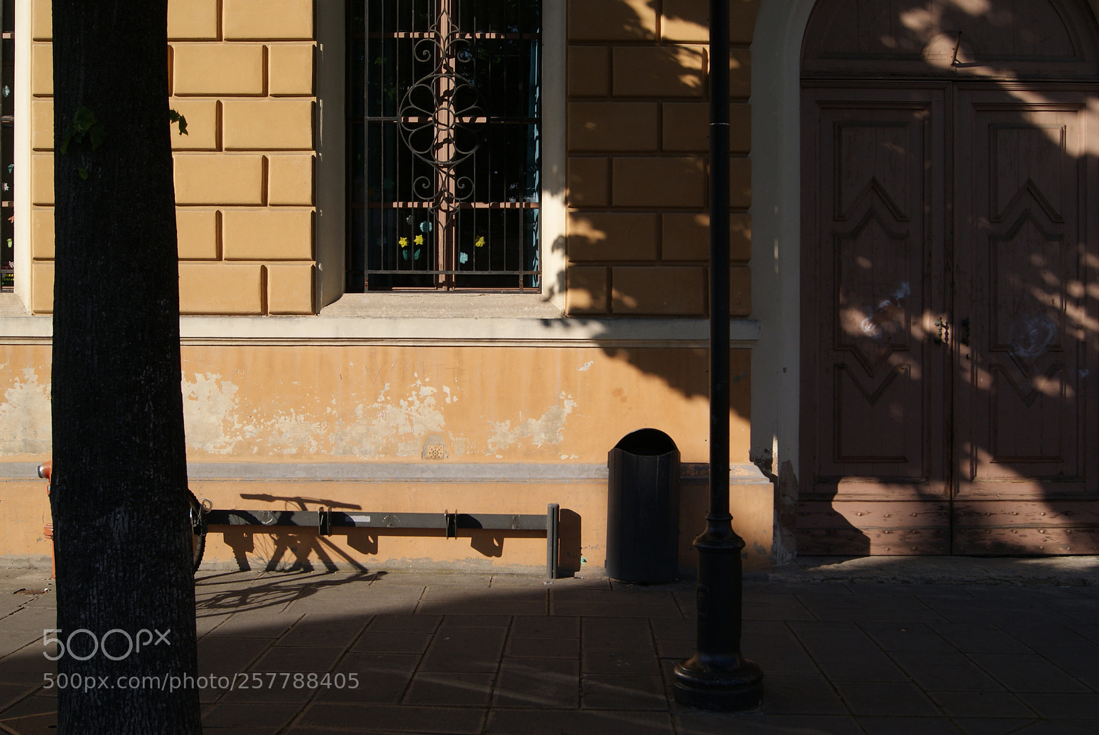 Sony Alpha DSLR-A230 sample photo. One sunday light photography