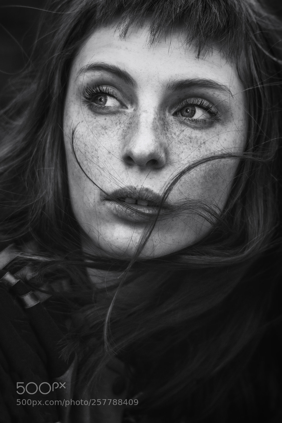Nikon D7100 sample photo. Dark lens photography
