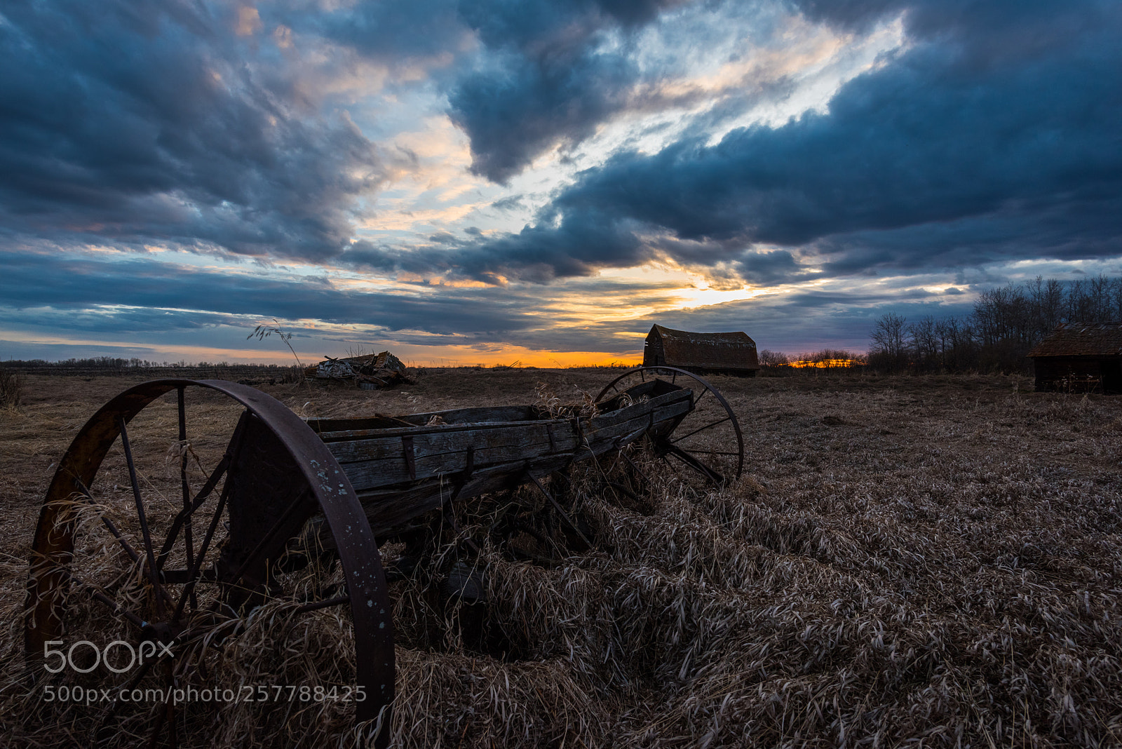 Nikon D810 sample photo. Dead grass, machine and photography