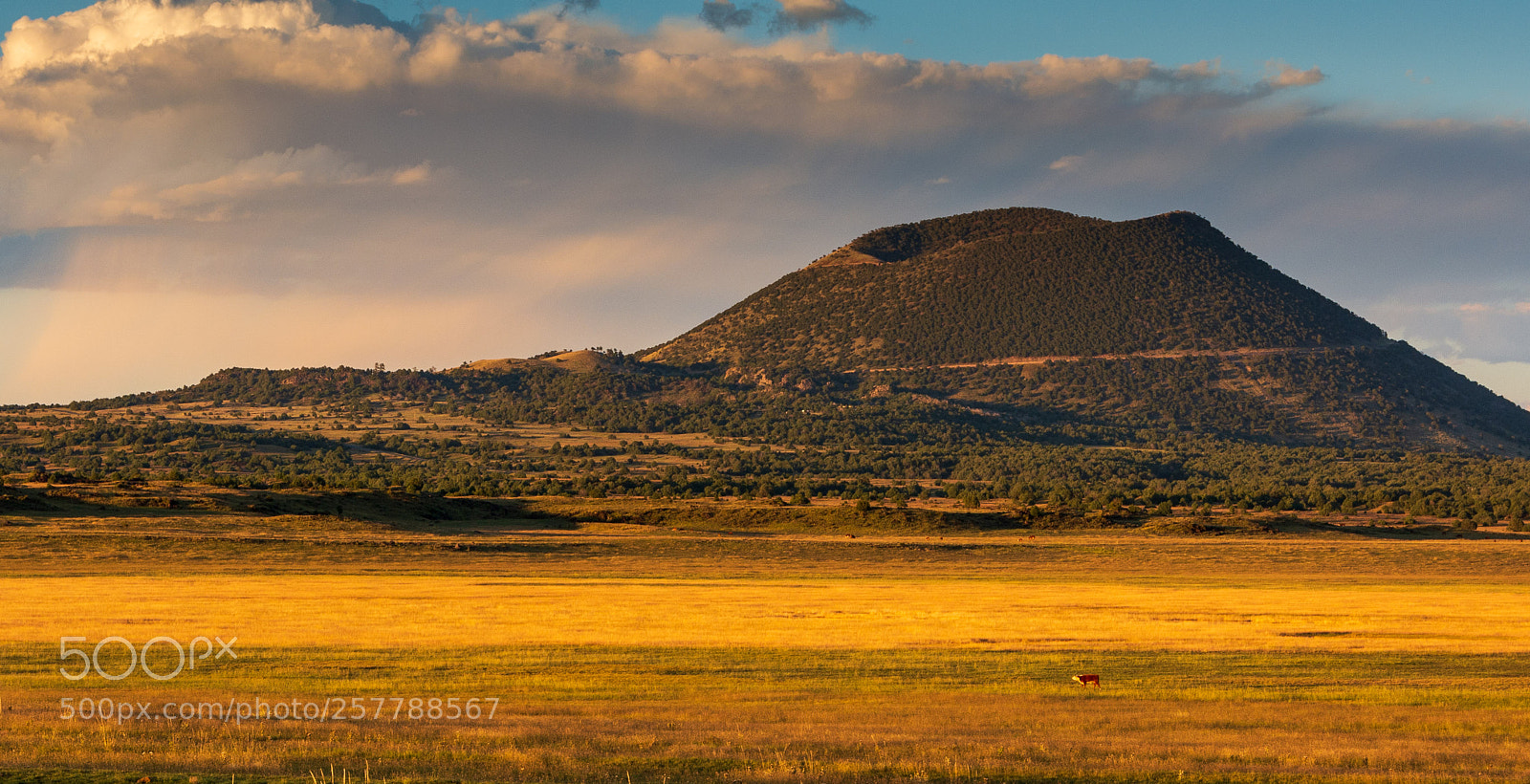 Nikon D5200 sample photo. Capulin sunset photography