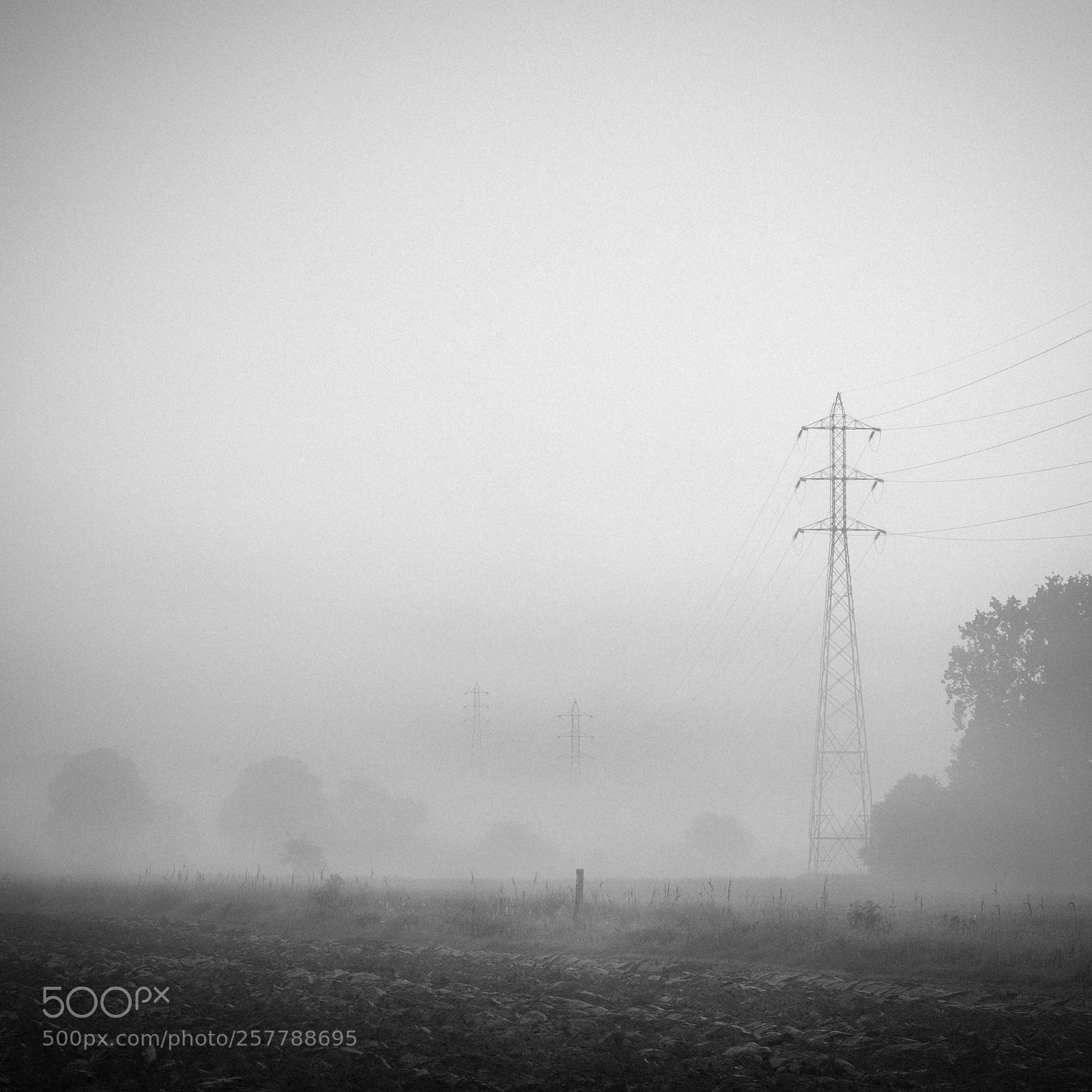 Nikon D60 sample photo. Hazy morning photography