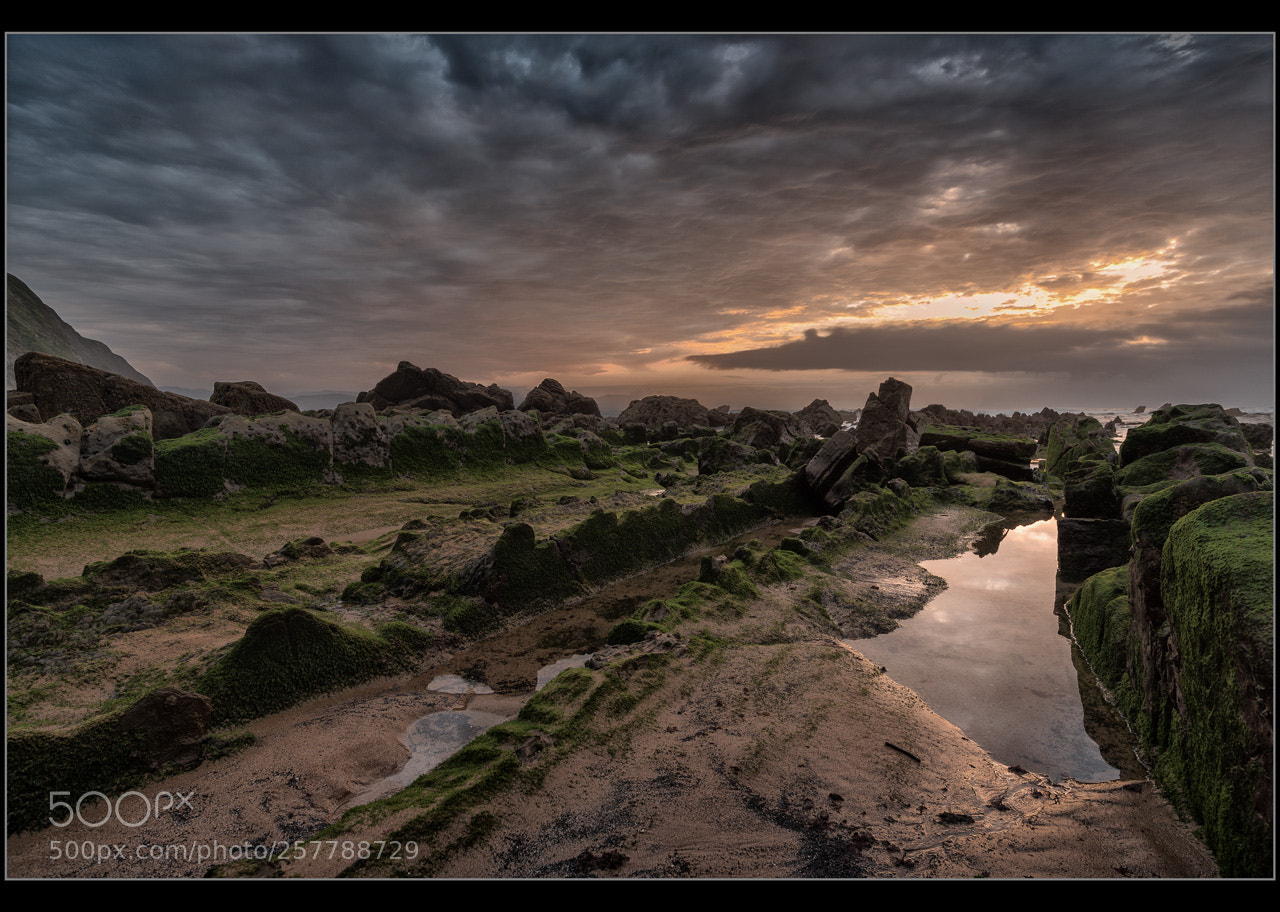 Nikon D750 sample photo. Barrika verde photography