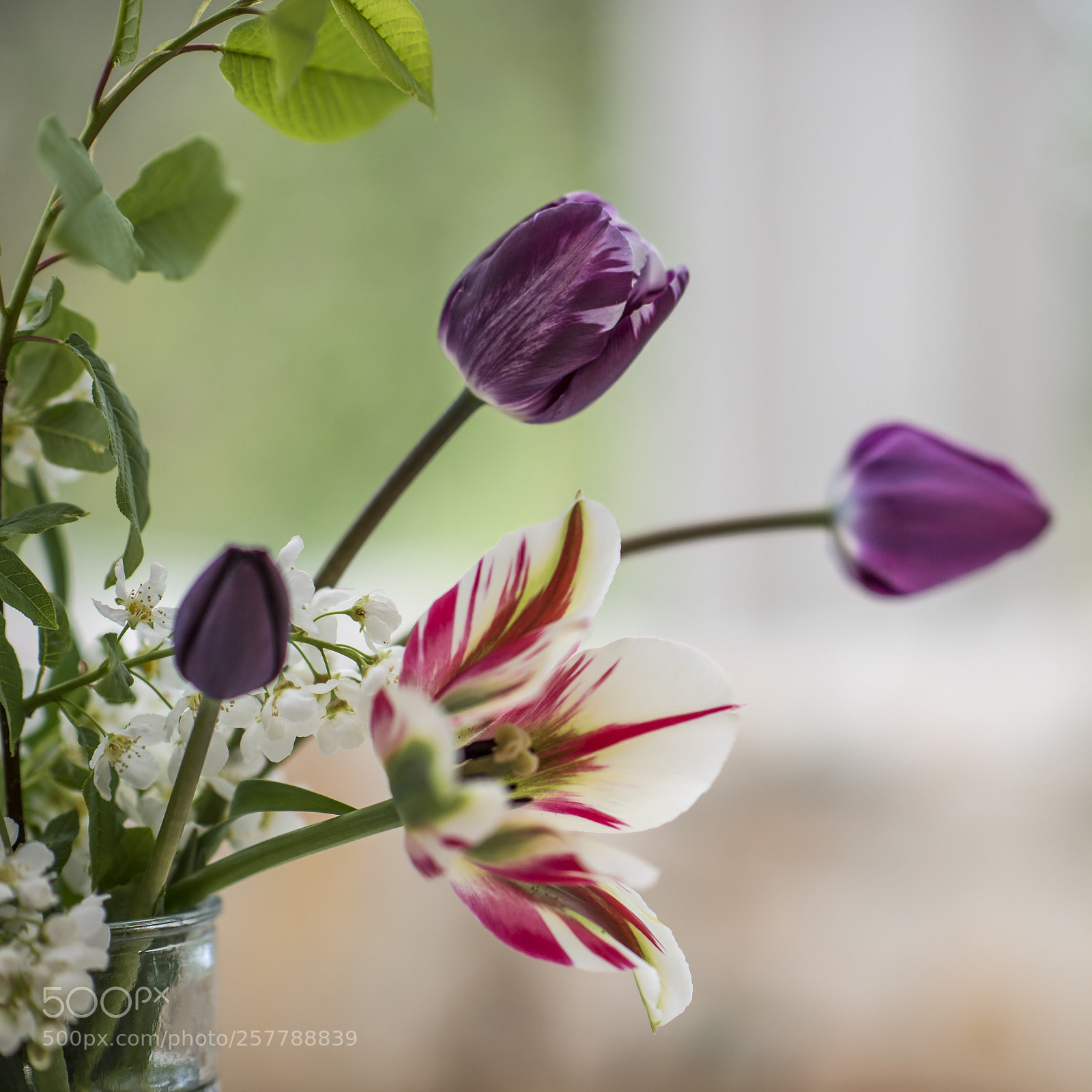 Nikon D610 sample photo. Spring bouquet photography