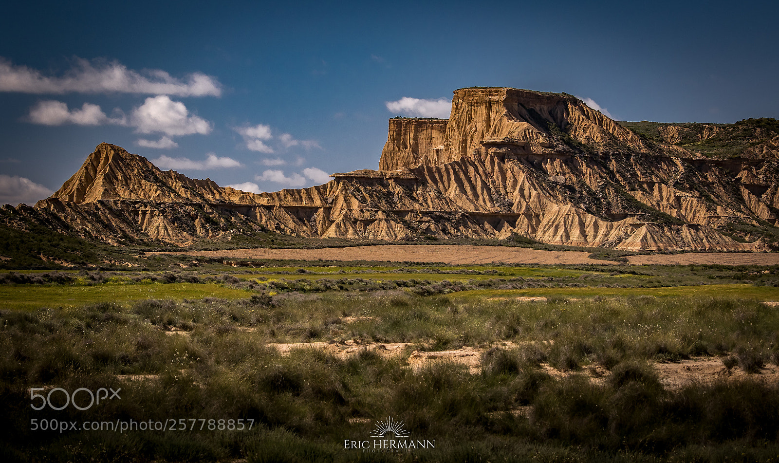 Canon EOS 7D Mark II sample photo. Real wilderness photography