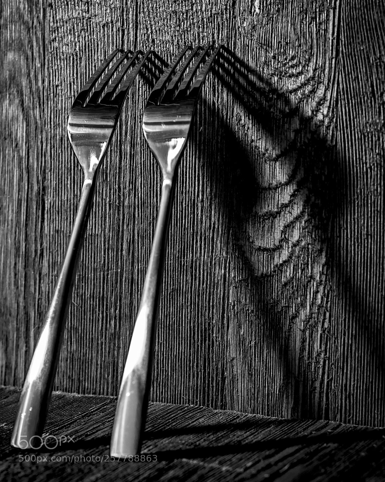 Canon EOS 7D Mark II sample photo. Fork shadows photography