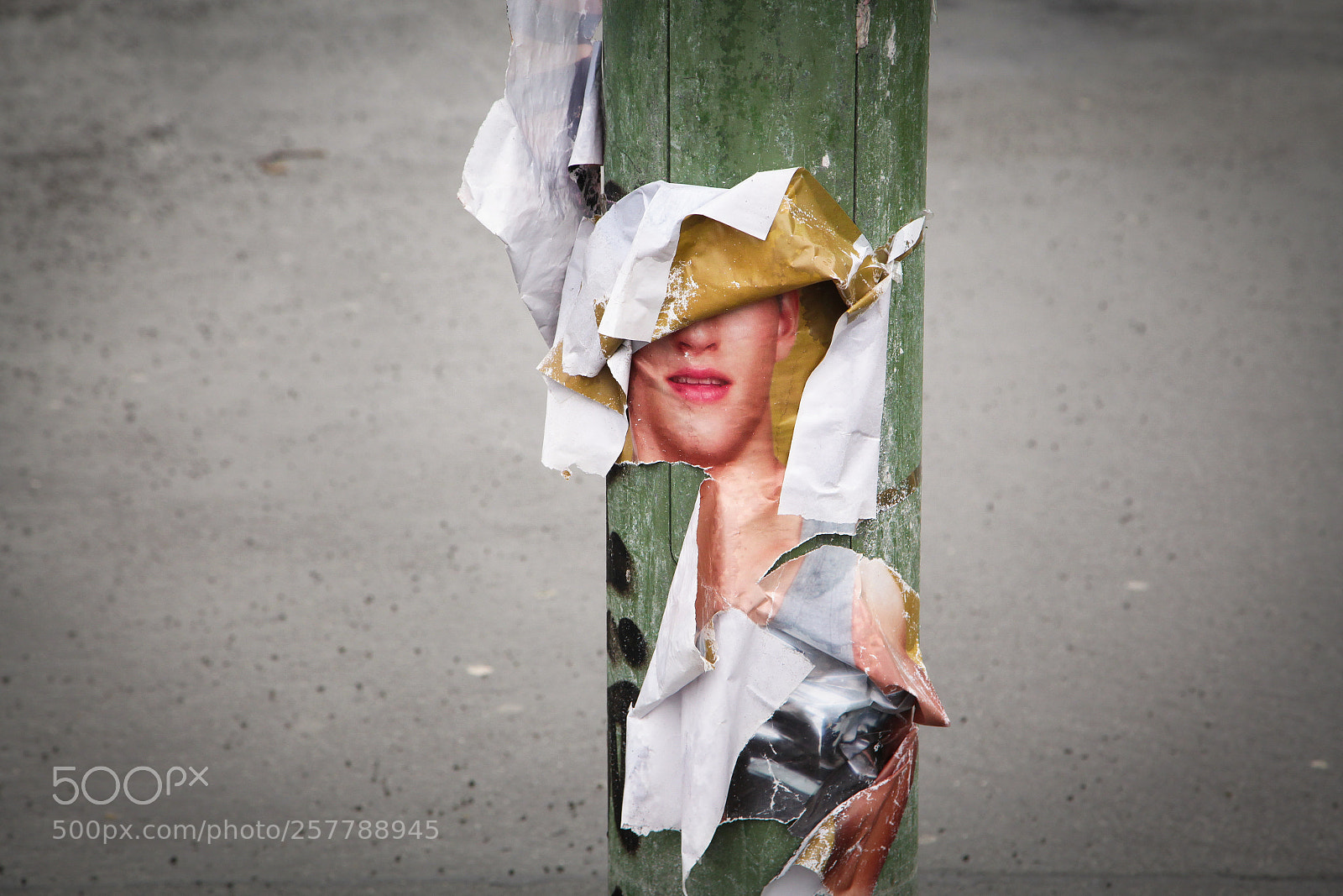 Canon EOS 5D Mark II sample photo. Ready for ascot photography