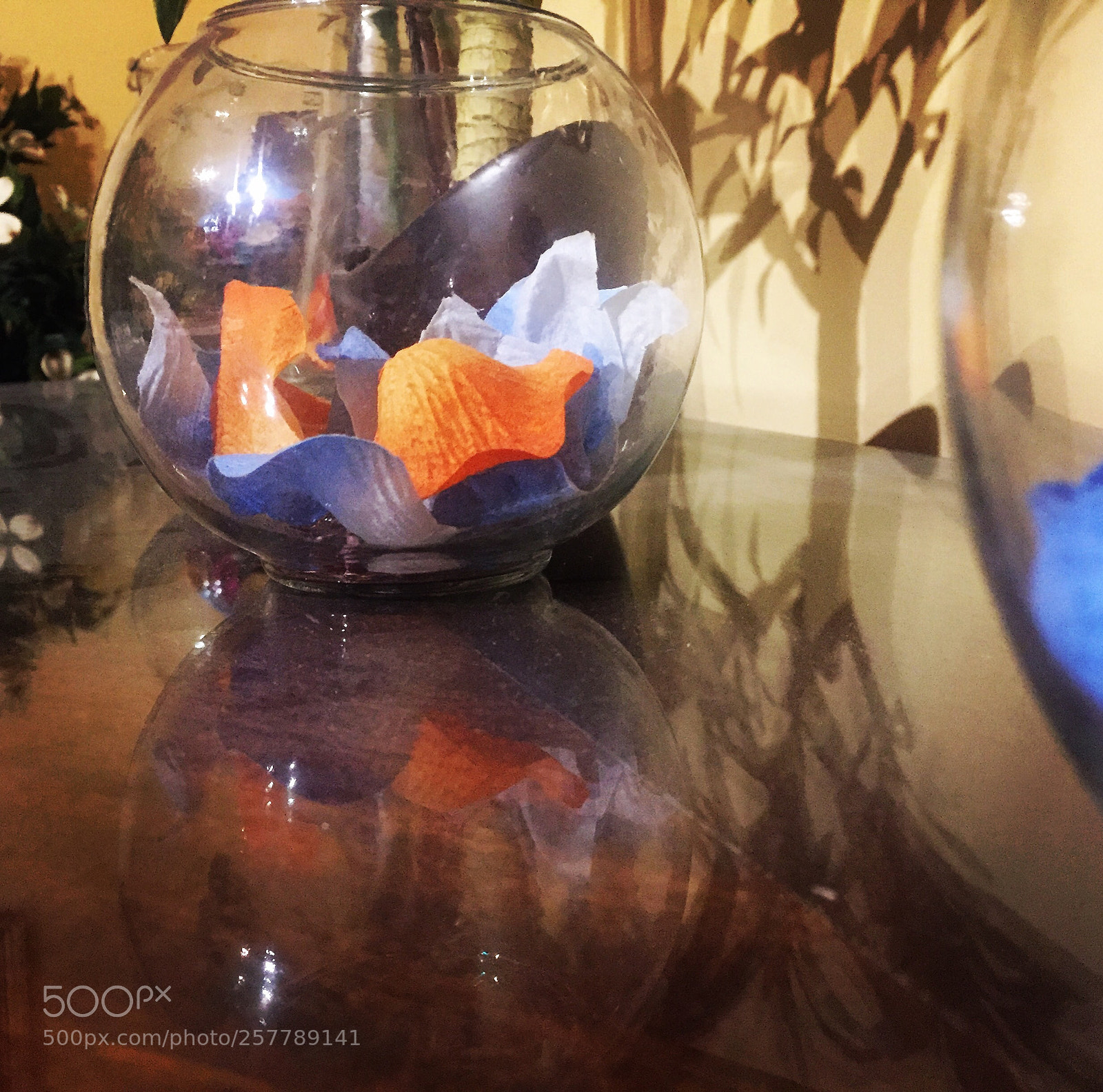 Apple iPhone 6 sample photo. Still life  photography