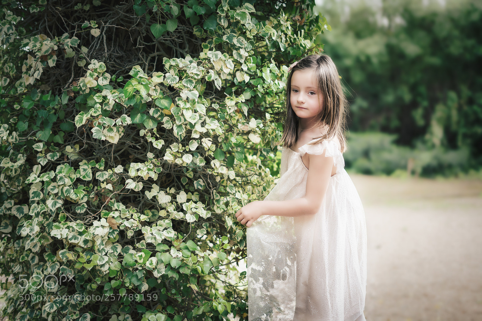 Sony a7R II sample photo. Angelic face photography