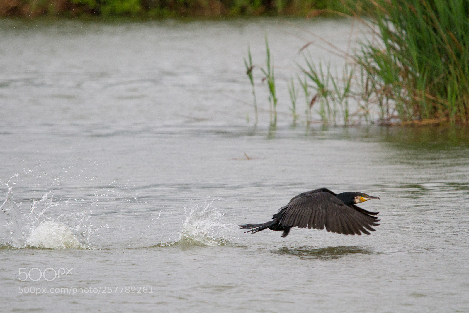 Canon EOS 7D sample photo. Si parte photography