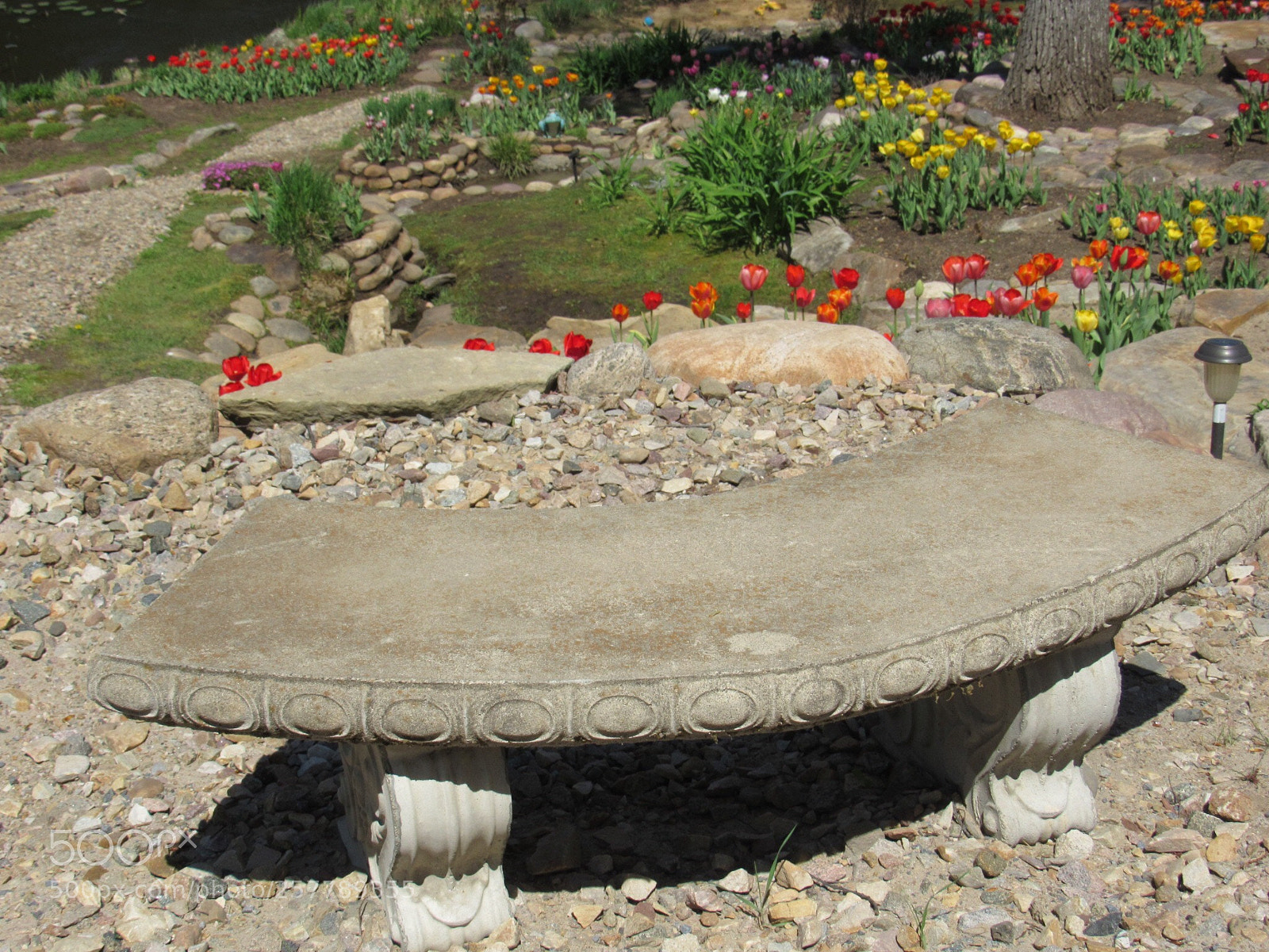 Canon PowerShot SX530 HS sample photo. Beautiful.  photography
