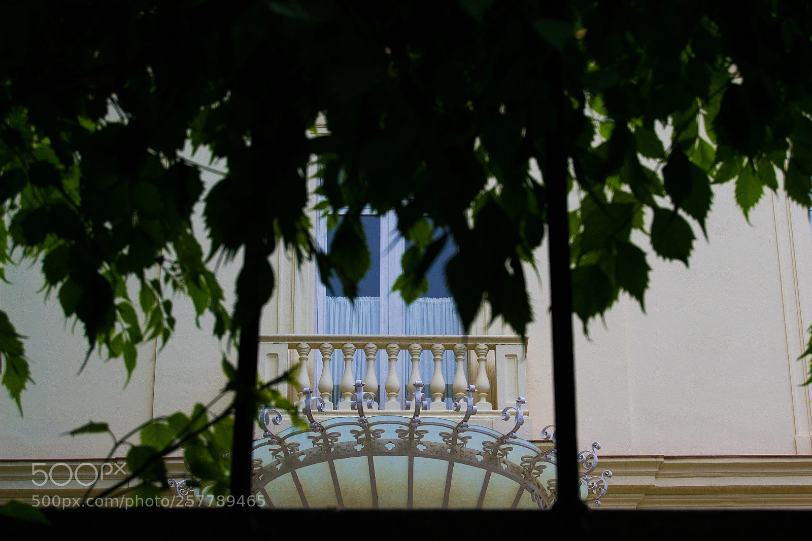 Nikon D3100 sample photo. Jard n bot nico photography