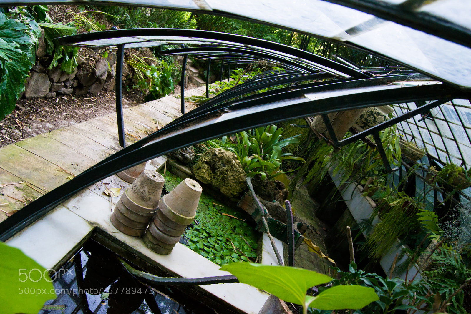 Nikon D3100 sample photo. Jard n bot nico photography