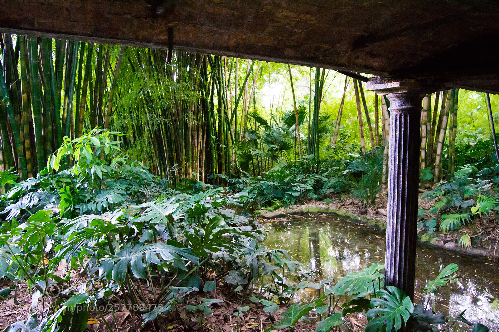 Nikon D3100 sample photo. Jard n bot nico photography