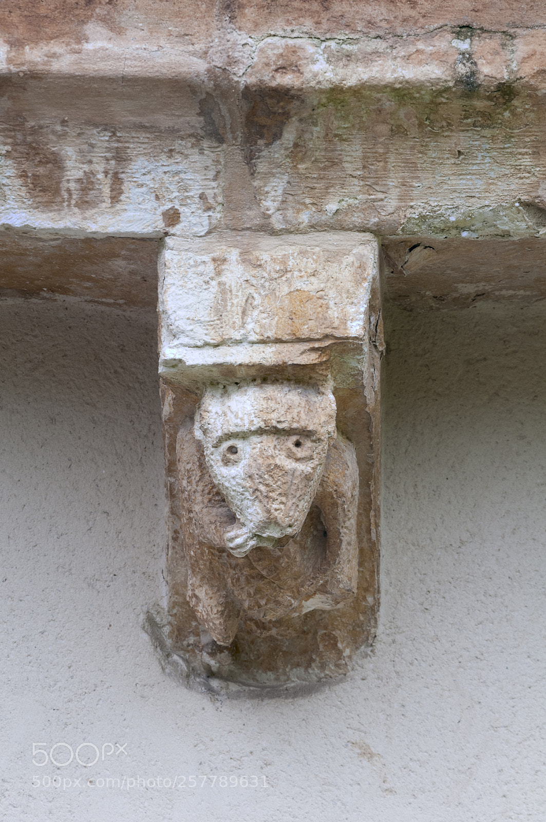 Nikon D300S sample photo. Canecillo demonio frontal photography