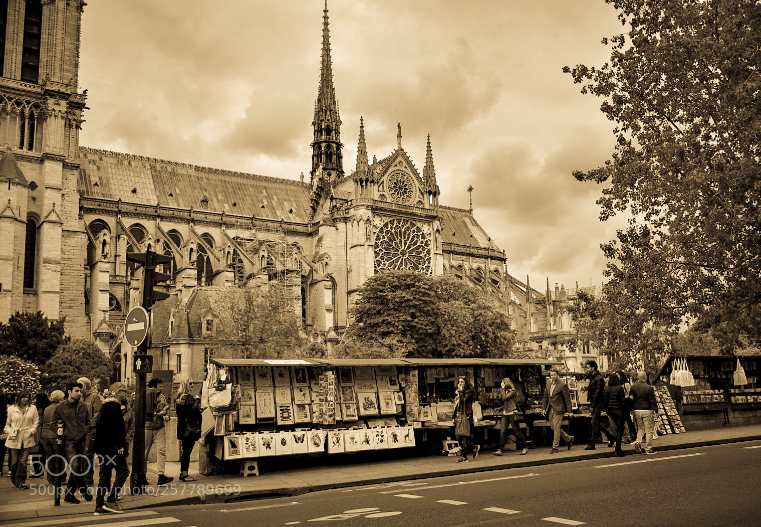 Nikon D750 sample photo. Bookseller along the seine photography