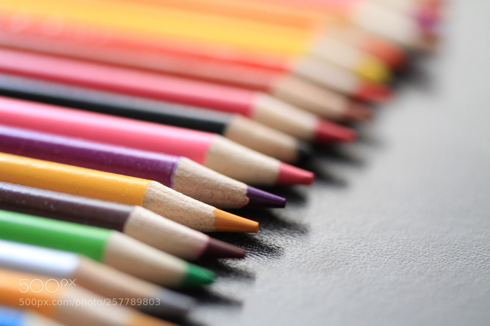 Canon EOS 7D sample photo. Many colors photography