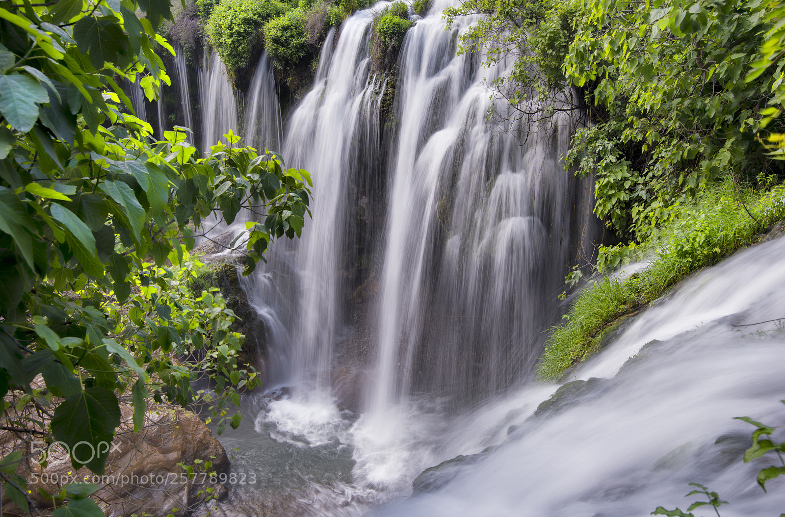 Nikon D750 sample photo. ... photography